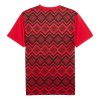 Maillot de Supporter Égypte Pre-Match 2025 Pour Homme
